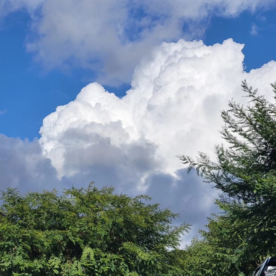 MAGNIFIED SOUL MASTER PLAN: LESSON 1 ~ Emotional Regulation: The Gateway to Spiritual Alignment